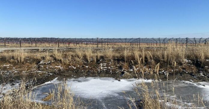 63a63eef7e630previewjpg