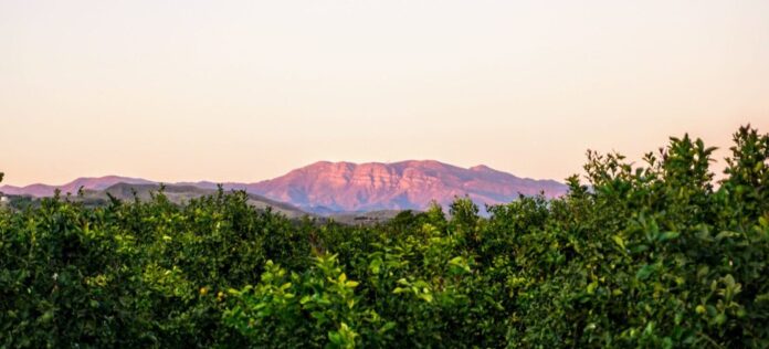 mountains-nature-ojai-orange-topa-topa-california-sunset-citrus-KYLE-scaled-e1619363489257jpg