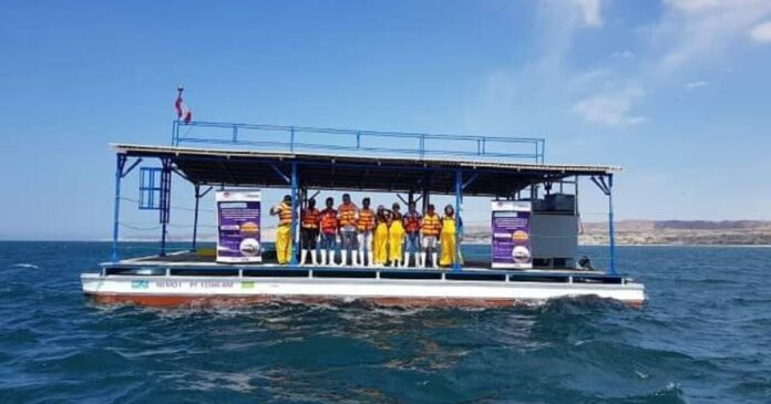 solar-raft-aquaculture-scallopjpg