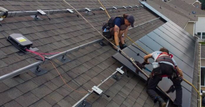 100219_renu_installation_0jpg