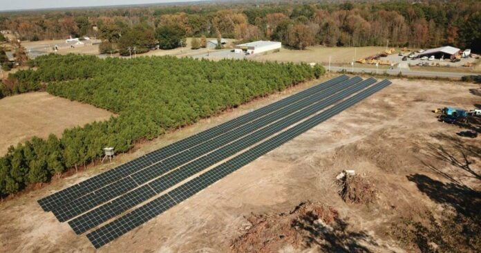 63d99977e7626image_jpg