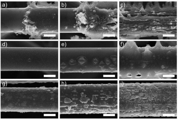 aenm202203770-fig-0004-m-1200x805jpg